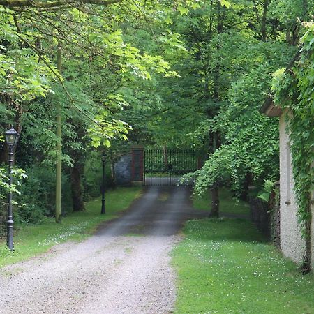 Millvale Cottage Cootehill Bagian luar foto