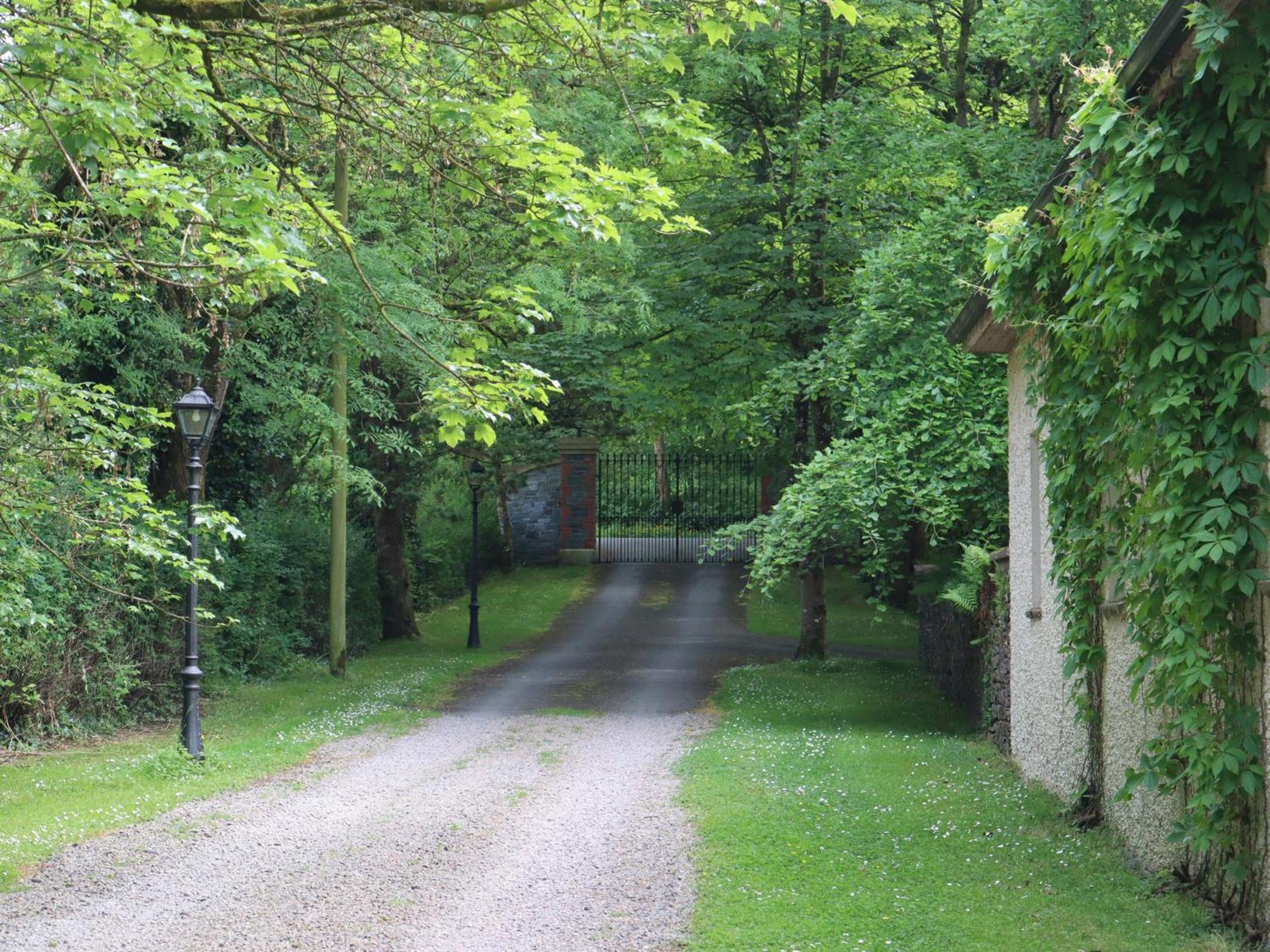 Millvale Cottage Cootehill Bagian luar foto